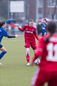 Bild 174 - wBJ Alstertal-Langenhorn - Hamburger SV : Ergebnis: 0:3